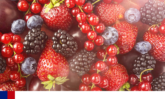 Flavonoides dietéticos e a prevalência e incidência de 15 anos de degeneração macular relacionada à idade